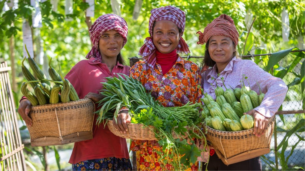 Economic of agriculture. Сельское хозяйство Камбоджи. Камбоджа земледелие. Камбоджа промышленность. Сельское хоз-во в Лаосе.